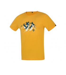 Блуза Direct Alpine Flash 5.0 M's